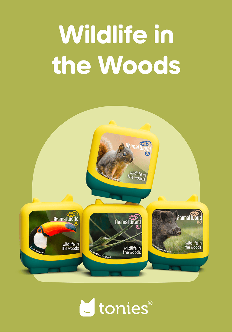 Animal World Wildlife in the Woods Clever Tonies - 4 Pack